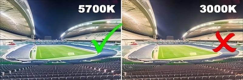 stadium-sports