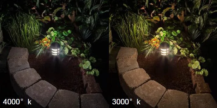 Choose-the-Right-CCT