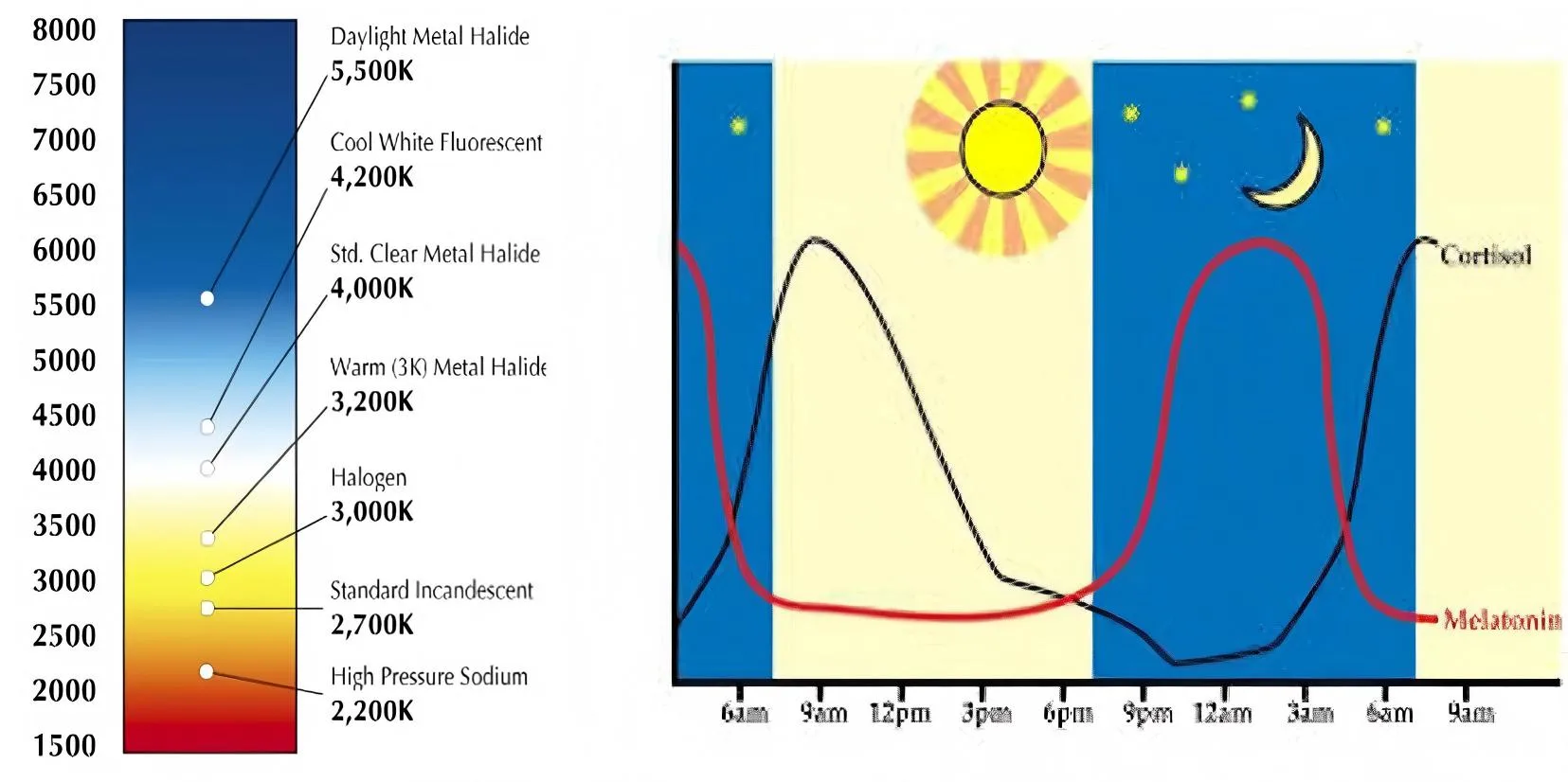 Color-Temperature-Blue-Light-Reduction