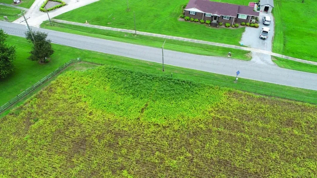 Environmental-Compliance