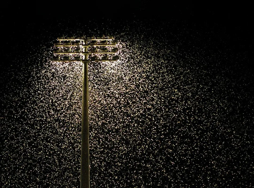 Lighting Pollution07